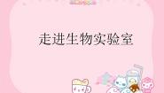 初中生物冀少版七年级上册第一节  走进生物实验室示范课ppt课件