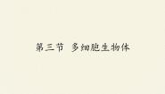 冀少版七年级上册第一单元  我们身边的生命世界第二章  生物体的结构层次第三节 多细胞生物体背景图课件ppt