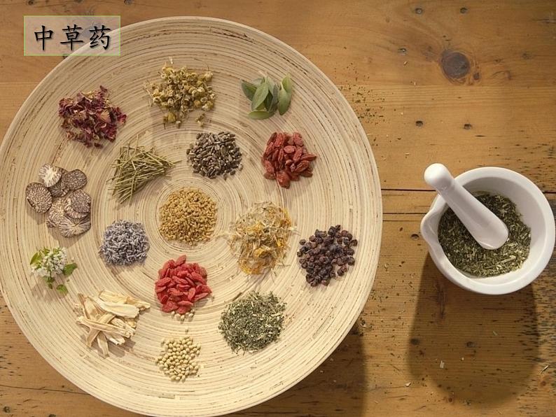 冀教版生物七年级上册 第二章 第三节 多细胞生物体课件07