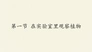冀少版七年级上册第一单元  我们身边的生命世界第三章  形形色色的植物第一节  在实验室里观察植物图片ppt课件