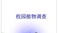 生物七年级上册第二节  校园植物调查授课课件ppt
