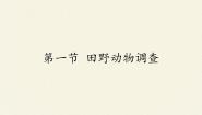 冀少版第一单元  我们身边的生命世界第四章 多种多样的动物第一节 田野动物调查教案配套课件ppt
