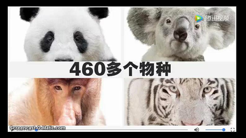 冀教版生物七年级上册 第四章 第十节 我国的珍稀动物课件第2页