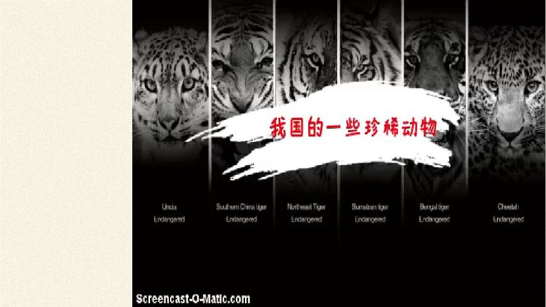 冀教版生物七年级上册 第四章 第十节 我国的珍稀动物课件第4页