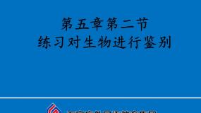 初中生物冀少版七年级上册第二节 练习对生物进行鉴别课前预习课件ppt