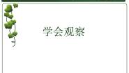冀少版七年级上册第二节  学会观察图片ppt课件