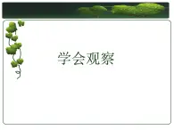 冀少版生物七年级上册 第一章 第二节 学会观察_课件