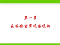 冀少版生物七年级上册 第三章 第一节 在实验室里观察植物课件