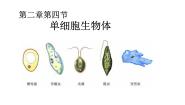 冀少版七年级上册第四节 单细胞生物体课堂教学ppt课件