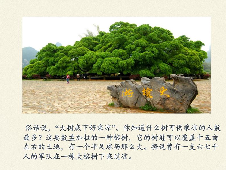 冀少版生物七年级上册 第三章 第一节 在实验室里观察植物(2)课件07