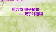 生物第六节 被子植物说课课件ppt