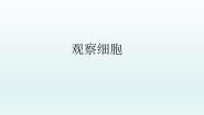 初中生物冀少版七年级上册一.发现细胞集体备课课件ppt