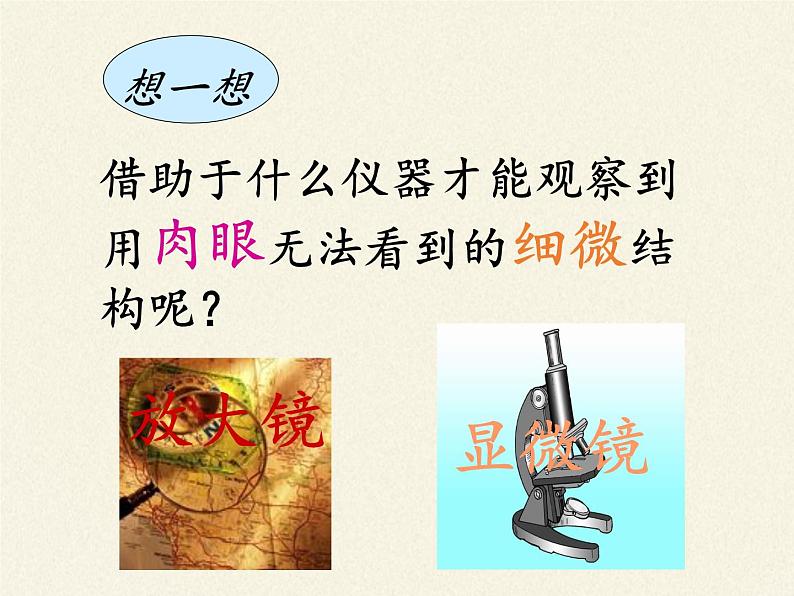 冀少版生物七年级上册 第一章 第一节 走进生物实验室课件06