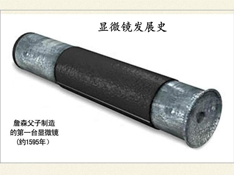 冀少版生物七年级上册 第一章 第一节 走进生物实验室课件08