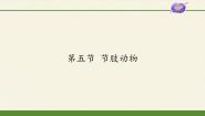 初中生物冀少版七年级上册第五节 节肢动物图片课件ppt