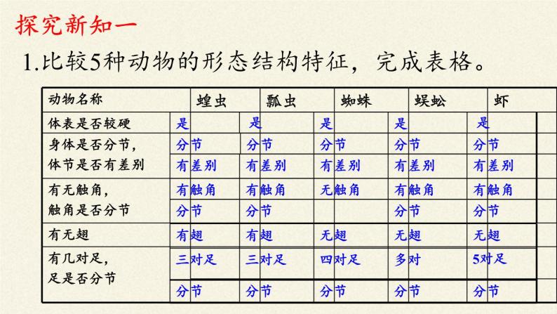 冀少版生物七年级上册 第四章 第五节  节肢动物课件05