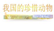 冀少版七年级上册第一单元  我们身边的生命世界第四章 多种多样的动物第十节 我国的珍稀动物教课ppt课件