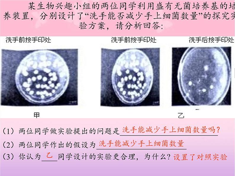 冀少版生物七年级上册 第一章 第四节 学习探究课件第3页