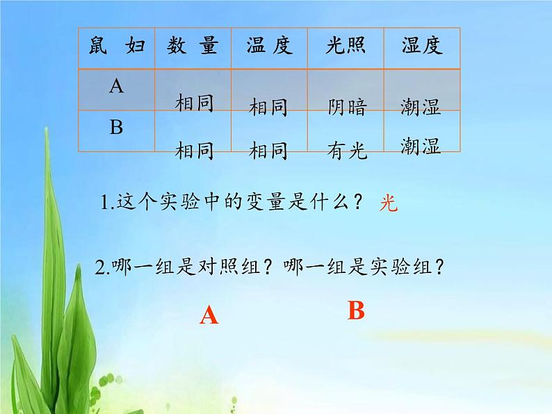 冀少版生物七年级上册 第一章 第四节 学习探究课件第8页