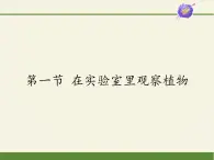 冀少版生物七年级上册 第三章 第一节  在实验室里观察植物课件