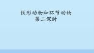 冀少版七年级上册第三节  线形动物和环节动物教案配套ppt课件