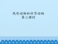 冀少版生物七年级上册 第四章 第三节 线形动物和环节动物-第二课时_课件