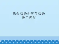 冀少版七年级上册第三节 线形动物和环节动物教案配套ppt课件
