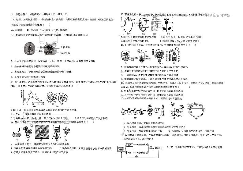 山东省东营市文华学校2023-2024学年八年级下学期开学考试生物试题第2页