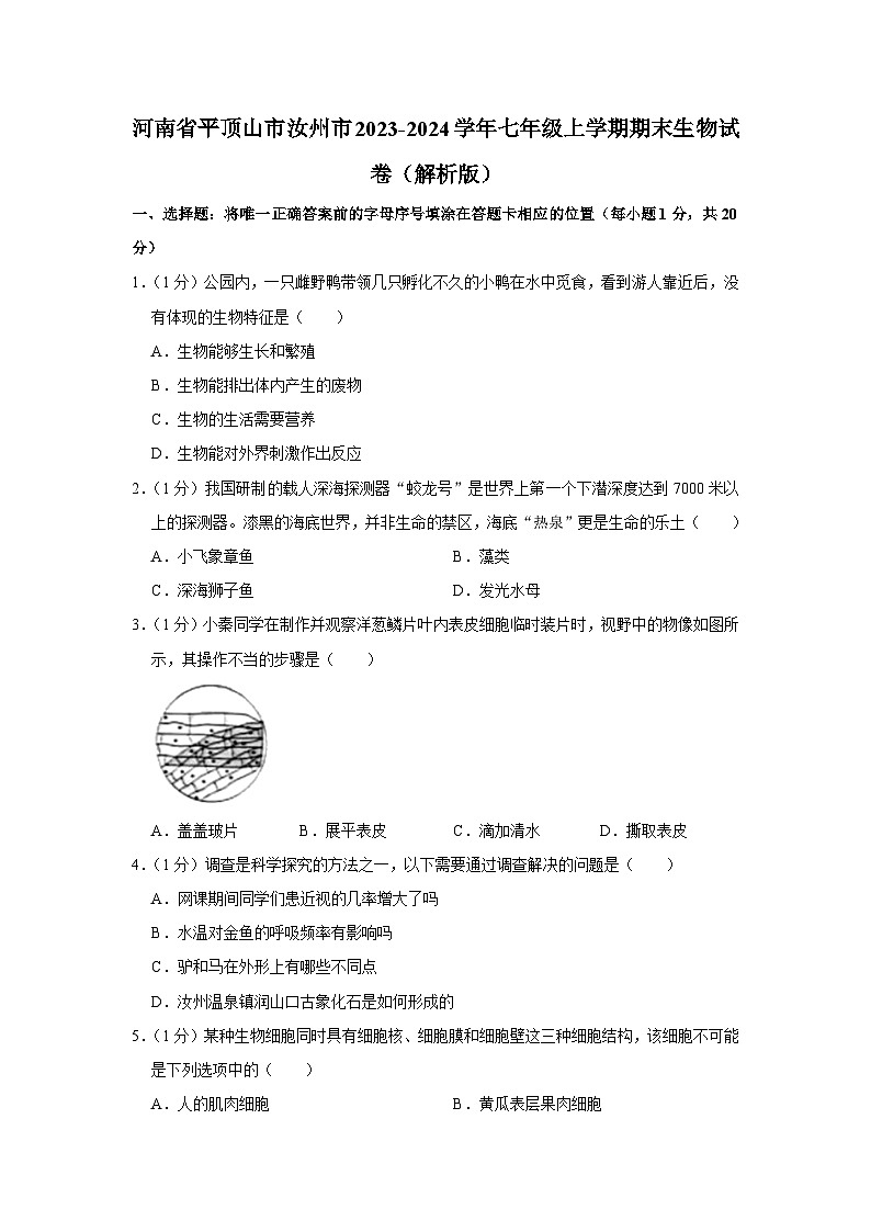 河南省平顶山市汝州市2023-2024学年七年级上学期期末生物学试卷+01