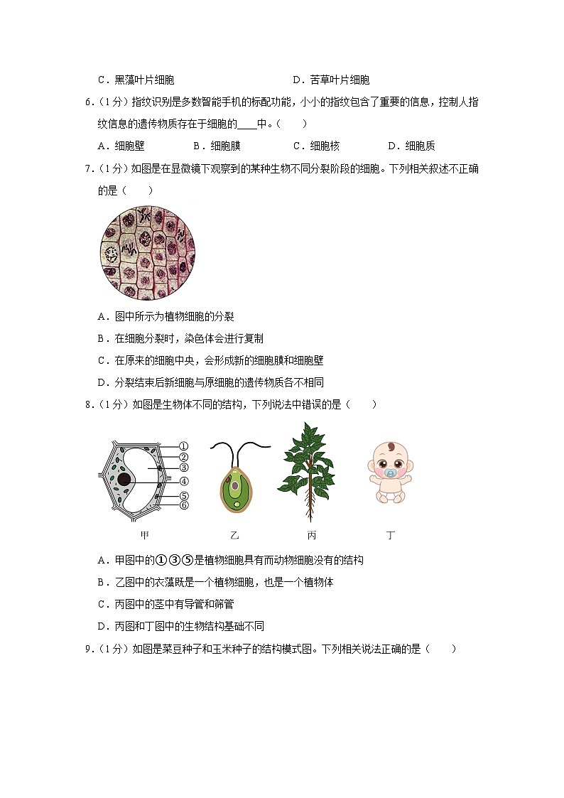 河南省平顶山市汝州市2023-2024学年七年级上学期期末生物学试卷+02