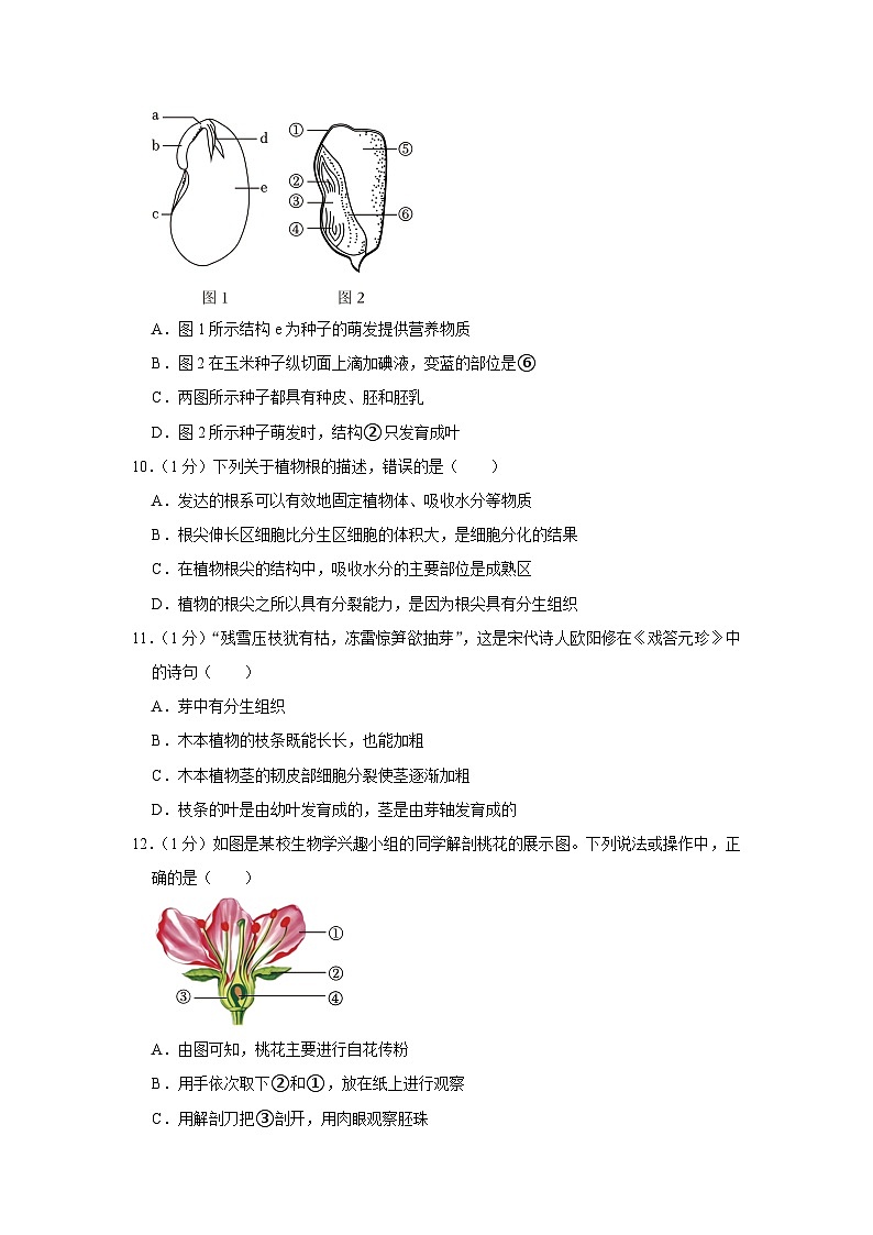 河南省平顶山市汝州市2023-2024学年七年级上学期期末生物学试卷+03