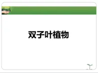 冀少版生物七年级上册 第三章 第六节 双子叶植物_课件