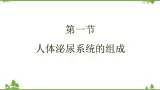 苏教版生物七年级下册 第十一章 第一节 人体泌尿系统的组成课件