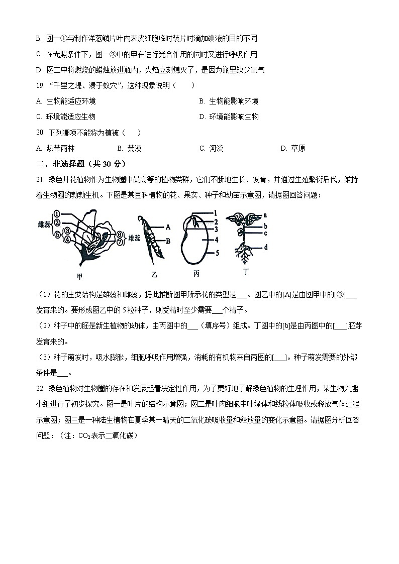 吉林省松原市前郭县2023-2024学年七年级上学期期末生物试题(原卷版+解析版)03