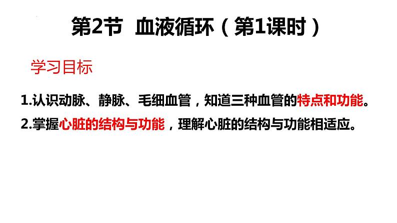 9.2++血液循环(第1课时)课件-2023-2024学年北师大版生物七年级下册第2页