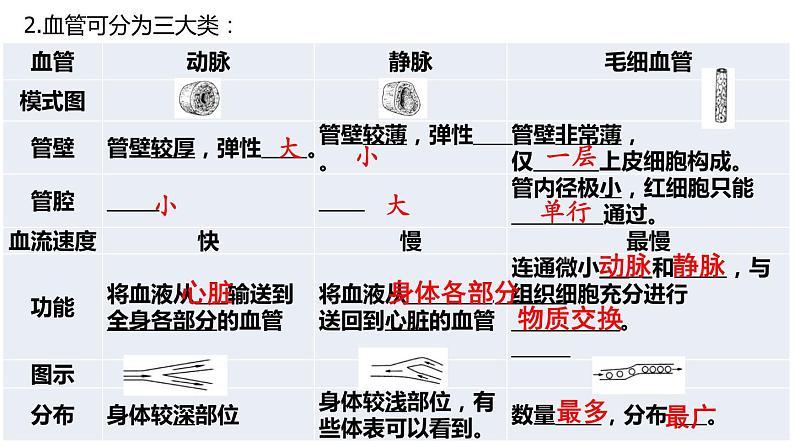 9.2++血液循环(第1课时)课件-2023-2024学年北师大版生物七年级下册第7页