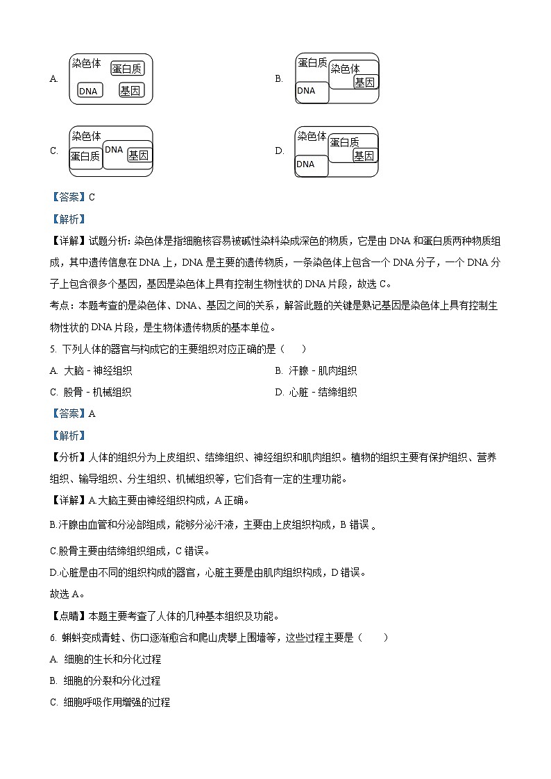 山西省忻州地区2023-2024学年七年级上学期期末生物试题(原卷版+解析版)03