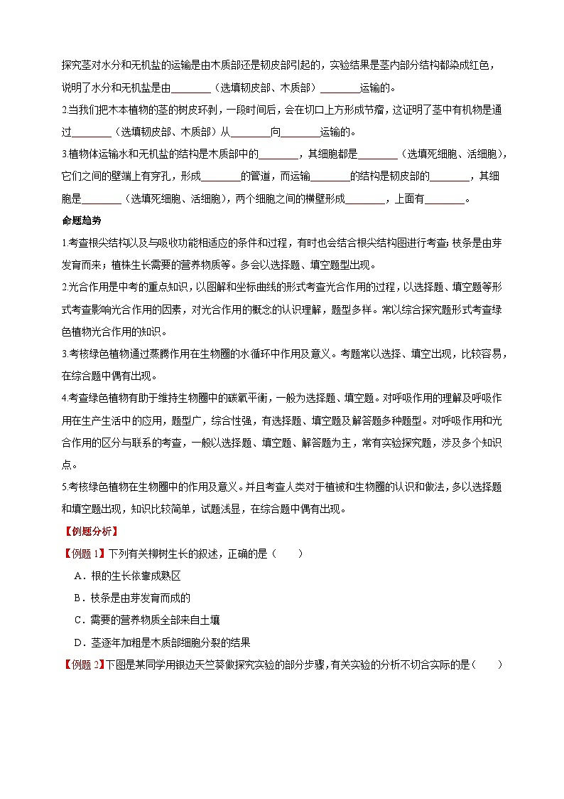 重难点04 生物圈中的绿色植物(一)-中考生物【·重点·难点】练习(附答案和解析)第3页