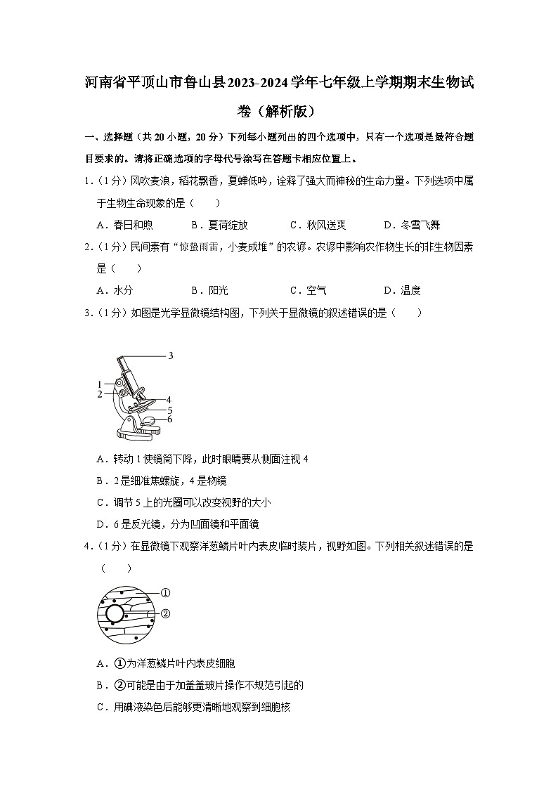 河南省平顶山市鲁山县2023-2024学年七年级上学期期末生物试卷01