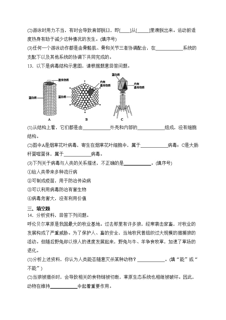 甘肃省天水市秦安县2023-2024学年八年级上学期期末质量监测生物试卷(含答案)第3页