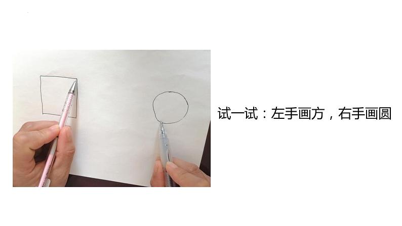 2.1.1 神经系统的组成(第一课时)-2023-2024学年八年级生命科学同步课堂(沪教版第一册)课件第4页