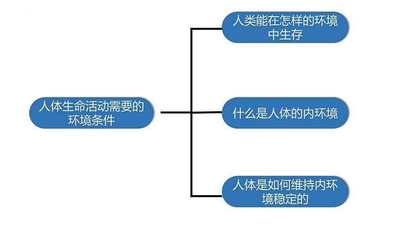 1.2.3 人体是如何维持内环境稳定的(第二课时)-2023-2024学年八年级生命科学同步课堂(沪教版第一册)课件第2页