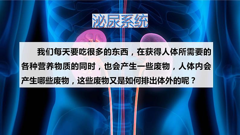 1.2.3 人体是如何维持内环境稳定的(第二课时)-2023-2024学年八年级生命科学同步课堂(沪教版第一册)课件第4页