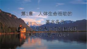 初中生物沪教版八年级上册 生命科学第2节  人体生命活动需要的环境条件集体备课ppt课件