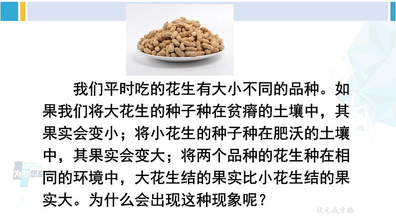 人教版八年级生物下册 第七单元 生物圈中生命的延续和发展 第五节 生物的变异(课件)第5页