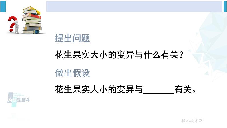 人教版八年级生物下册 第七单元 生物圈中生命的延续和发展 第五节 生物的变异(课件)第6页