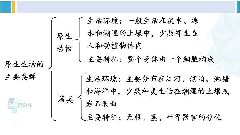 北师大版八年级生物下册 第7单元 生命的演化 章末复习(课件)第3页