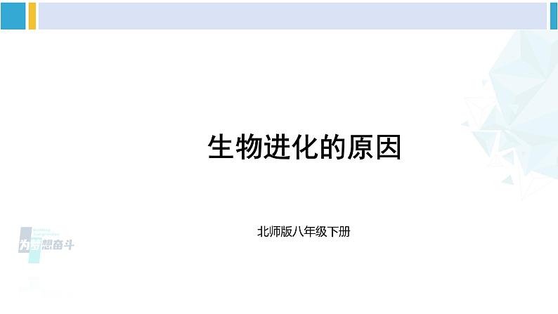 北师大版八年级生物下册 第7单元 生命的演化 第2课时 生物进化的原因(课件)第2页