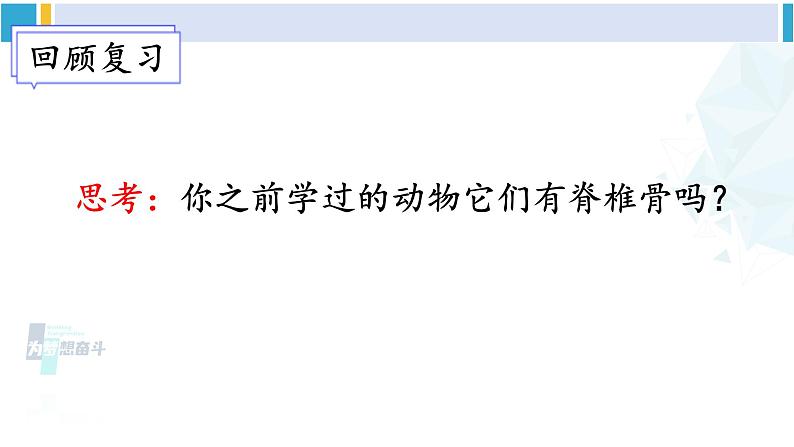 北师大版八年级生物下册 第7单元 生命的演化 第3课时 脊椎动物(课件)第1页