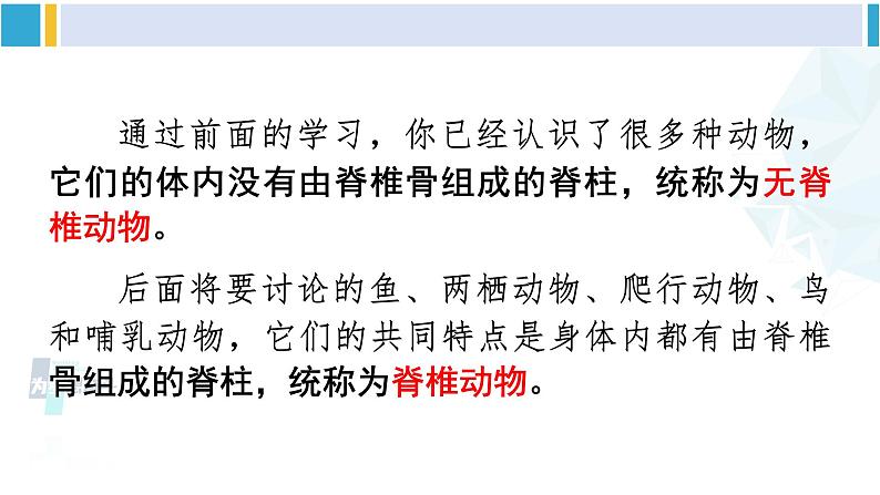 北师大版八年级生物下册 第7单元 生命的演化 第3课时 脊椎动物(课件)第7页